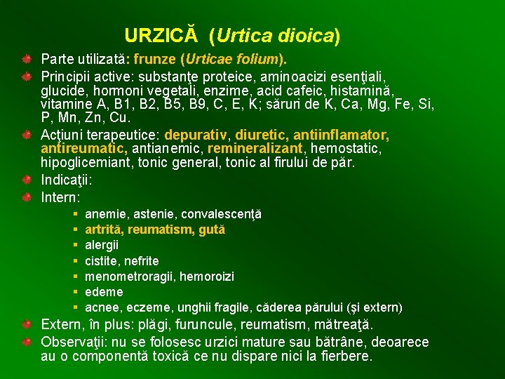 URZICĂ (Urtica dioica) Parte utilizată: frunze (Urticae folium). Principii active: substanţe proteice, aminoacizi esenţiali,