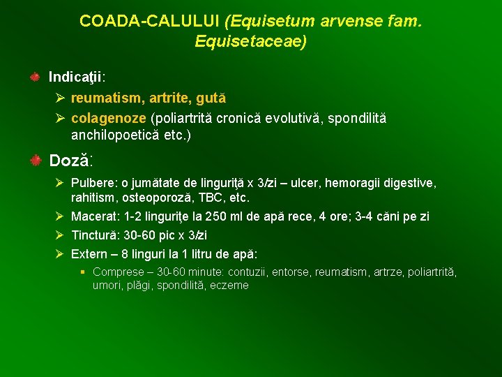 COADA-CALULUI (Equisetum arvense fam. Equisetaceae) Indicaţii: Ø reumatism, artrite, gută Ø colagenoze (poliartrită cronică