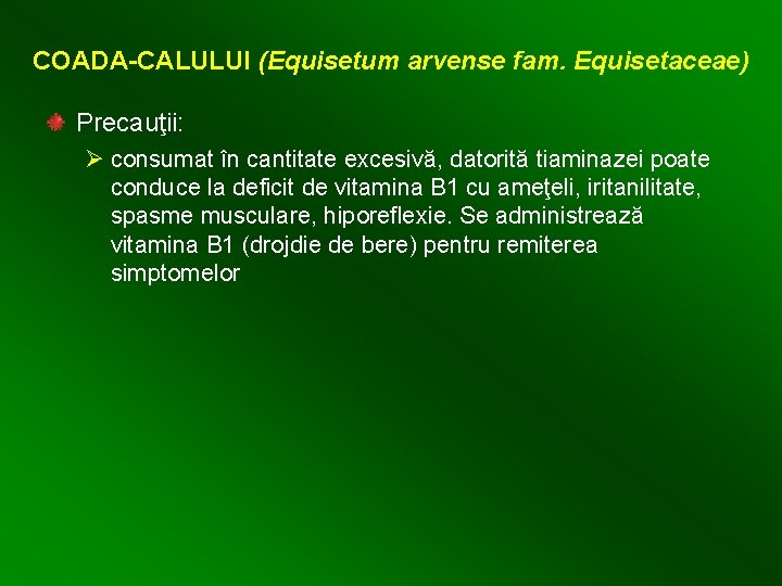 COADA-CALULUI (Equisetum arvense fam. Equisetaceae) Precauţii: Ø consumat în cantitate excesivă, datorită tiaminazei poate