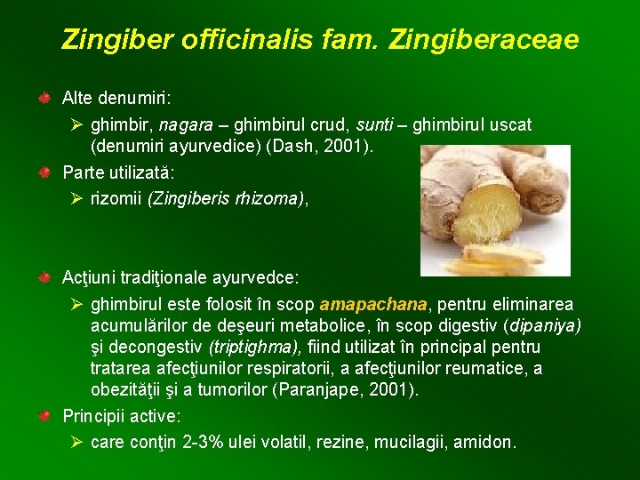 Zingiber officinalis fam. Zingiberaceae Alte denumiri: Ø ghimbir, nagara – ghimbirul crud, sunti –