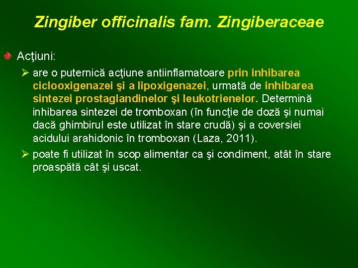 Zingiber officinalis fam. Zingiberaceae Acţiuni: Ø are o puternică acţiune antiinflamatoare prin inhibarea ciclooxigenazei