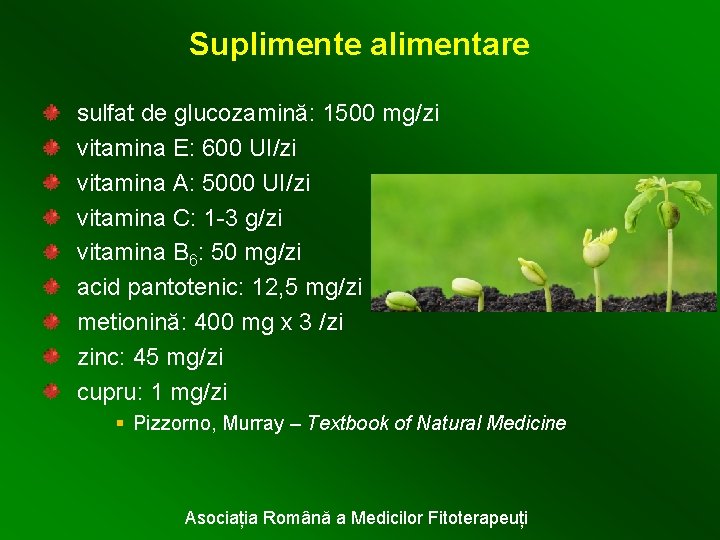 Suplimente alimentare sulfat de glucozamină: 1500 mg/zi vitamina E: 600 UI/zi vitamina A: 5000