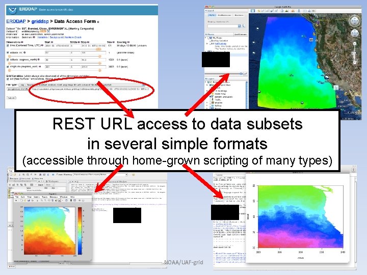 . kml REST URL access to data subsets in several simple formats (accessible through