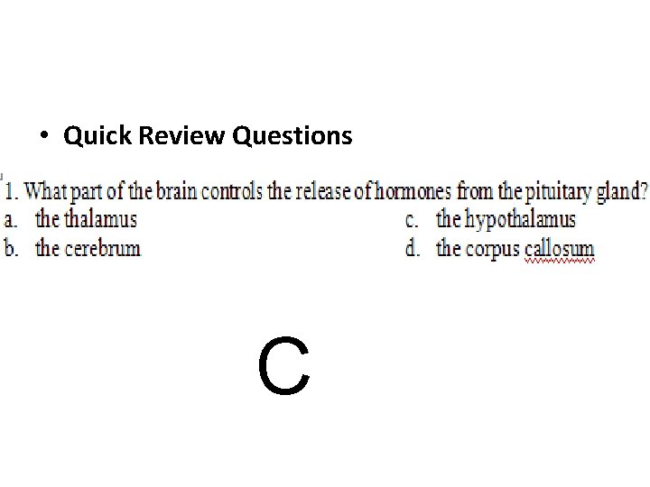  • Quick Review Questions C 