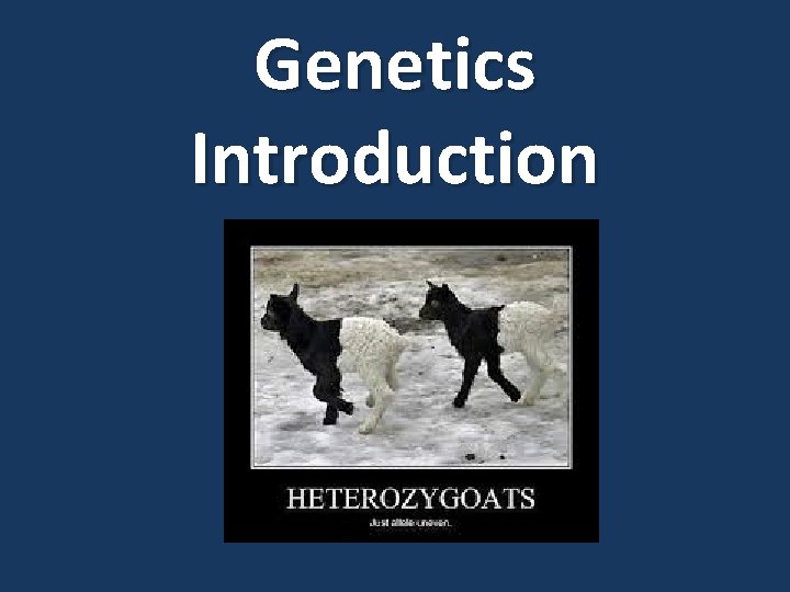 Genetics Introduction 