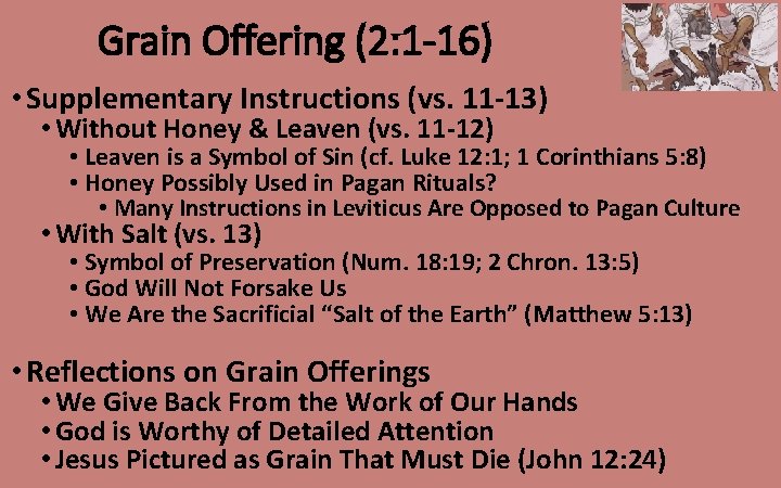 Grain Offering (2: 1 -16) • Supplementary Instructions (vs. 11 -13) • Without Honey