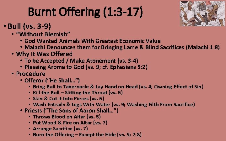 Burnt Offering (1: 3 -17) • Bull (vs. 3 -9) • “Without Blemish” •