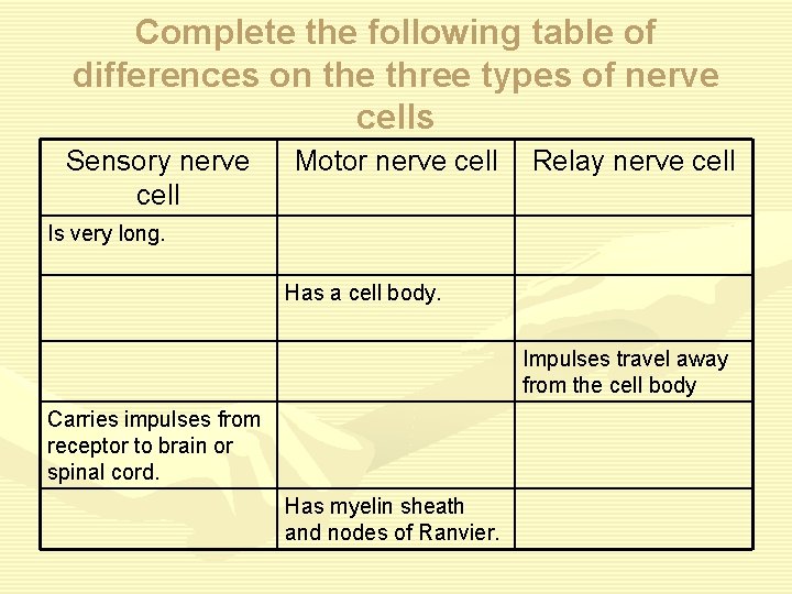 Complete the following table of differences on the three types of nerve cells Sensory