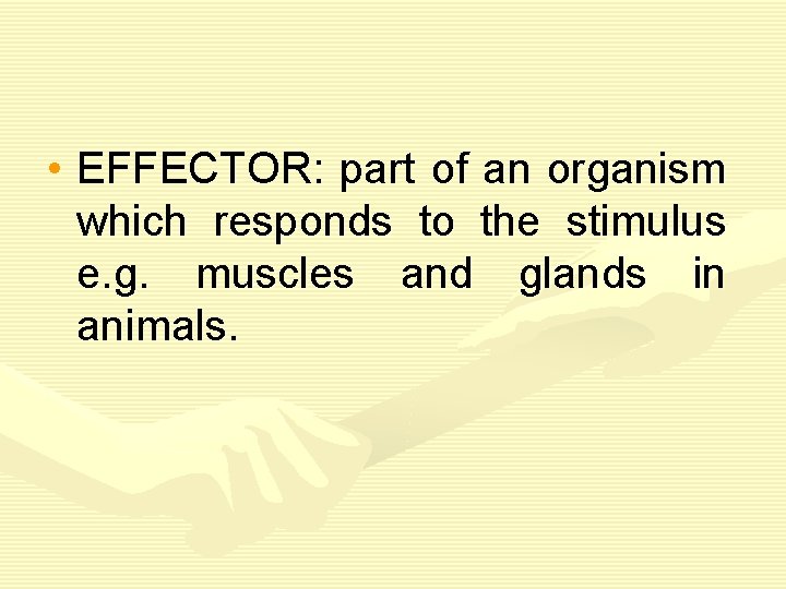  • EFFECTOR: part of an organism which responds to the stimulus e. g.
