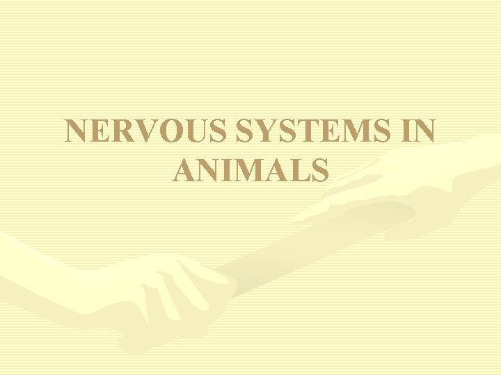NERVOUS SYSTEMS IN ANIMALS 