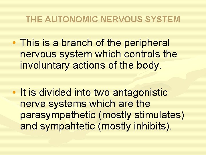 THE AUTONOMIC NERVOUS SYSTEM • This is a branch of the peripheral nervous system