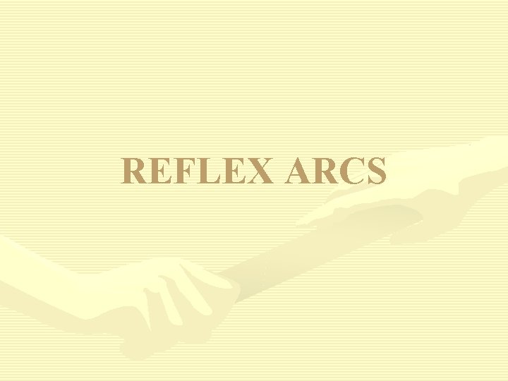 REFLEX ARCS 