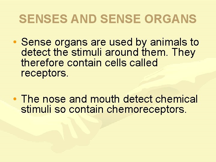 SENSES AND SENSE ORGANS • Sense organs are used by animals to detect the