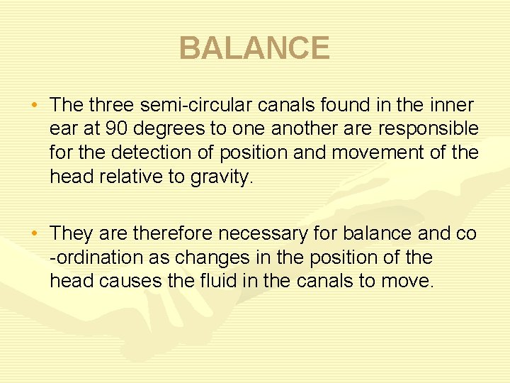 BALANCE • The three semi-circular canals found in the inner ear at 90 degrees