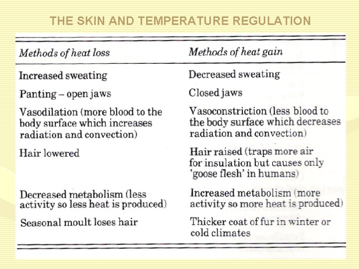 THE SKIN AND TEMPERATURE REGULATION 