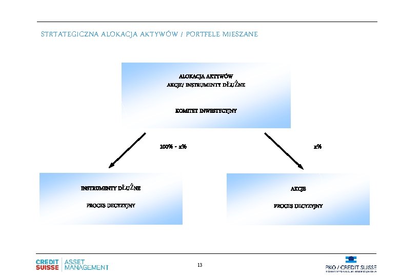 STRTATEGICZNA ALOKACJA AKTYWÓW / PORTFELE MIESZANE ALOKACJA AKTYWÓW AKCJE/ INSTRUMENTY DŁUŻNE KOMITET INWESTYCYJNY 100%