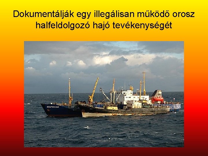 Dokumentálják egy illegálisan működő orosz halfeldolgozó hajó tevékenységét 