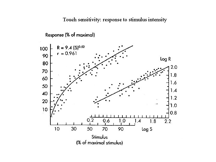 Touch sensitivity: response to stimulus intensity 