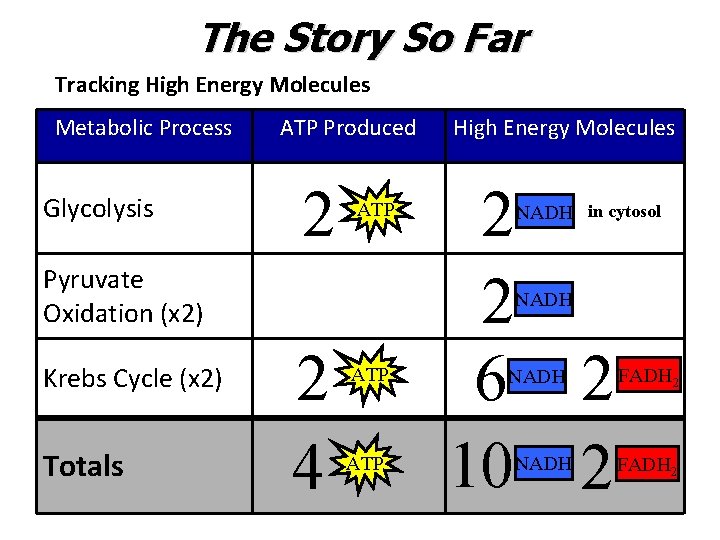 The Story So Far Tracking High Energy Molecules Metabolic Process Glycolysis ATP Produced 2