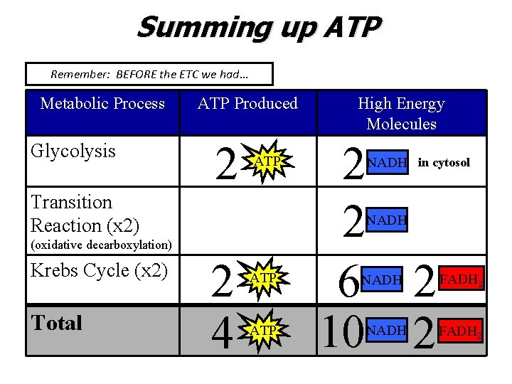 Summing up ATP Remember: BEFORE the ETC we had… Metabolic Process Glycolysis ATP Produced
