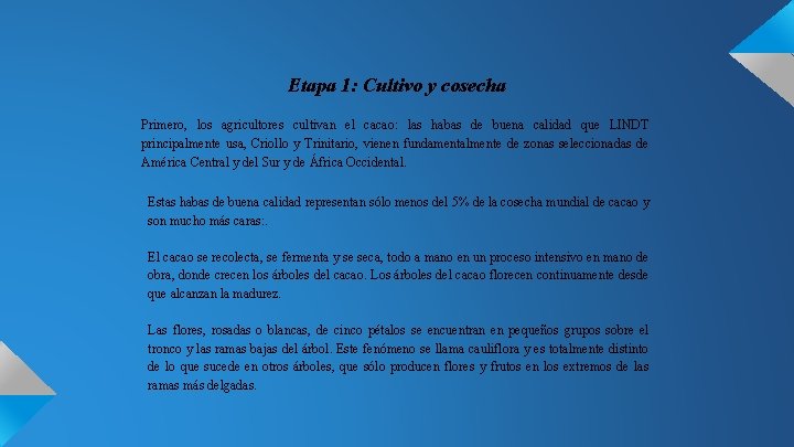 Etapa 1: Cultivo y cosecha Primero, los agricultores cultivan el cacao: las habas de