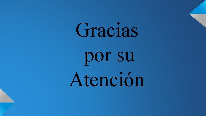 Gracias por su Atención 