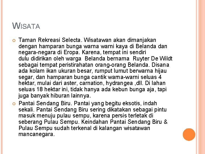 WISATA Taman Rekreasi Selecta. Wisatawan akan dimanjakan dengan hamparan bunga warni kaya di Belanda