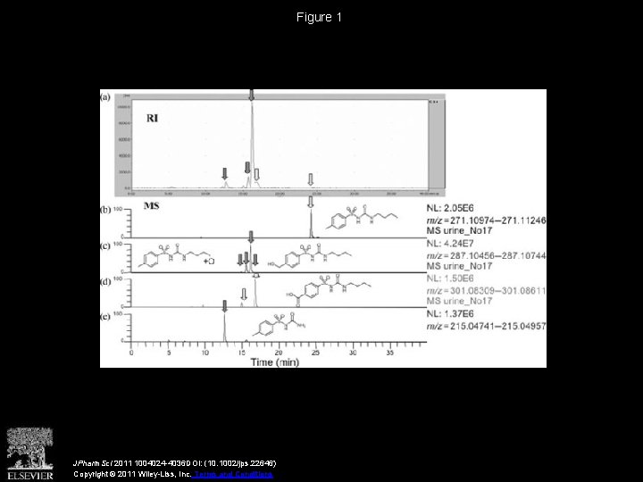 Figure 1 JPharm. Sci 2011 1004024 -4036 DOI: (10. 1002/jps. 22646) Copyright © 2011