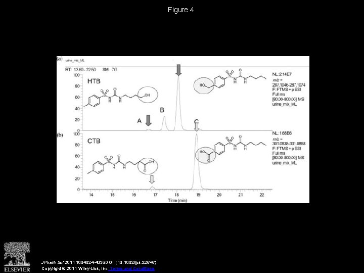 Figure 4 JPharm. Sci 2011 1004024 -4036 DOI: (10. 1002/jps. 22646) Copyright © 2011