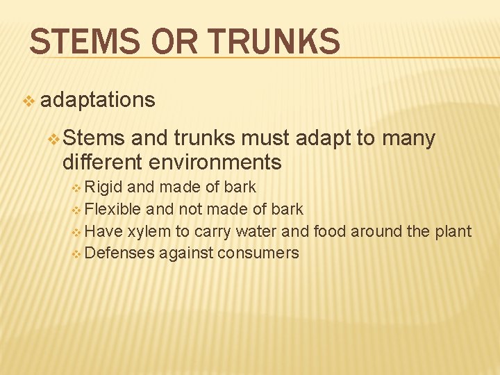 STEMS OR TRUNKS v adaptations v Stems and trunks must adapt to many different STEMS OR TRUNKS v adaptations v Stems and trunks must adapt to many different