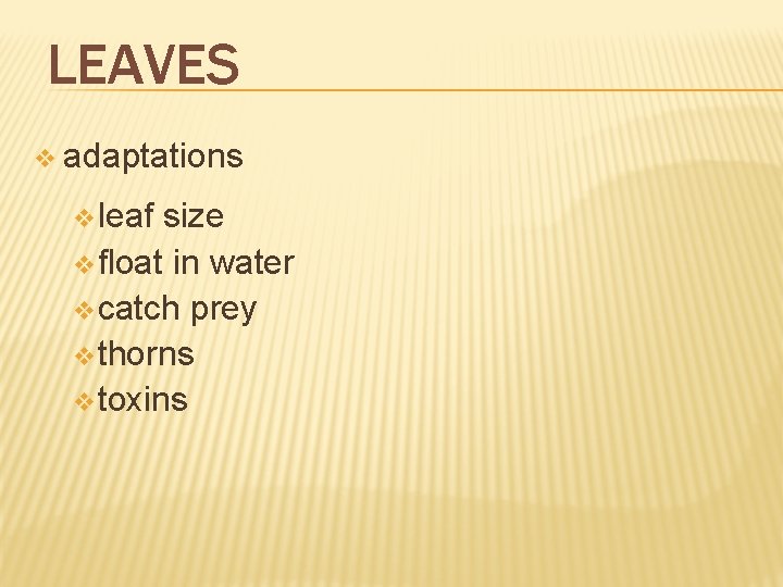 LEAVES v adaptations v leaf size v float in water v catch prey v LEAVES v adaptations v leaf size v float in water v catch prey v