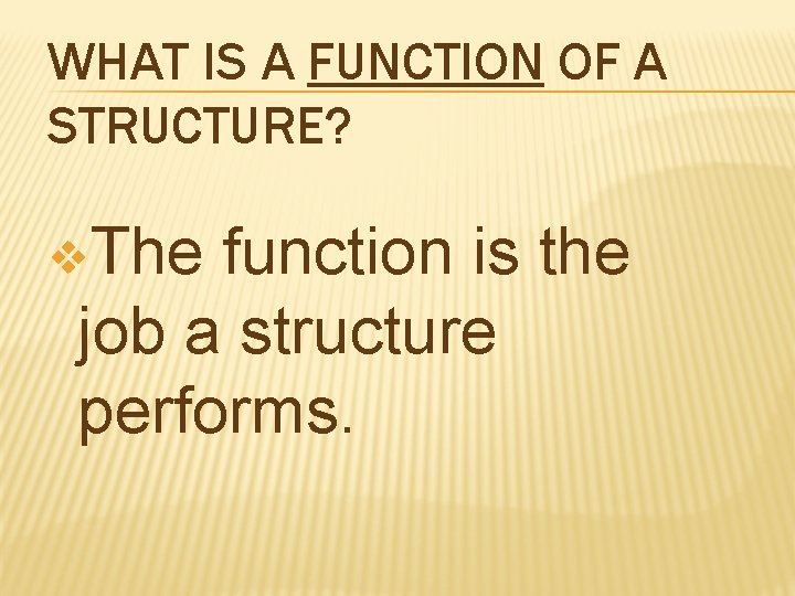 WHAT IS A FUNCTION OF A STRUCTURE? v. The function is the job a WHAT IS A FUNCTION OF A STRUCTURE? v. The function is the job a