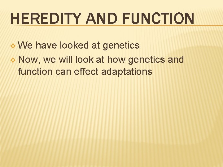 HEREDITY AND FUNCTION v We have looked at genetics v Now, we will look HEREDITY AND FUNCTION v We have looked at genetics v Now, we will look
