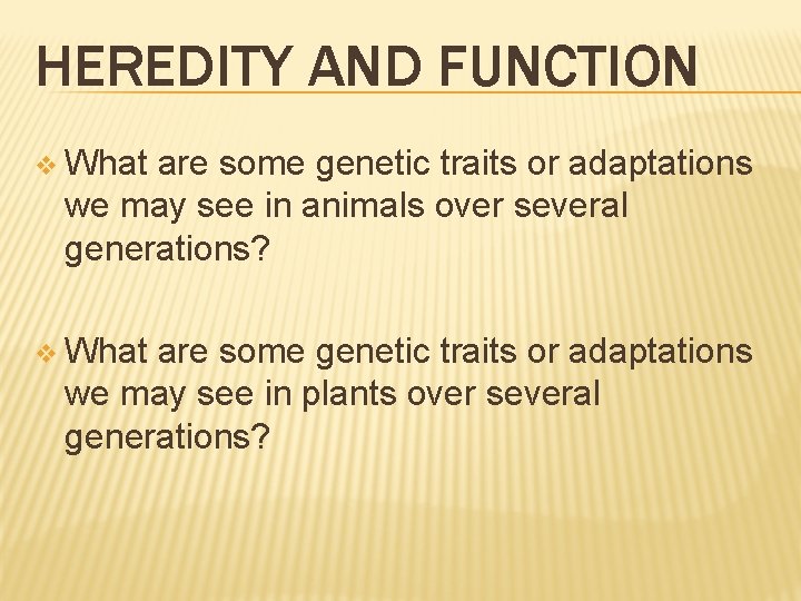 HEREDITY AND FUNCTION v What are some genetic traits or adaptations we may see HEREDITY AND FUNCTION v What are some genetic traits or adaptations we may see