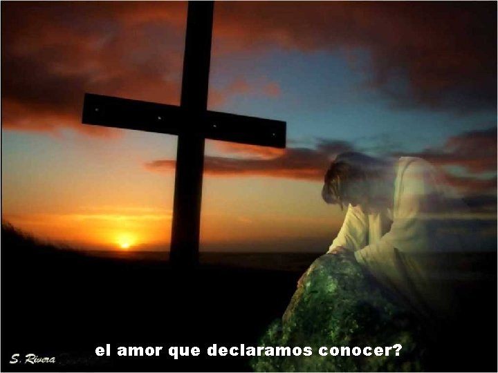 el amor que declaramos conocer? el amor que declaramos conocer?