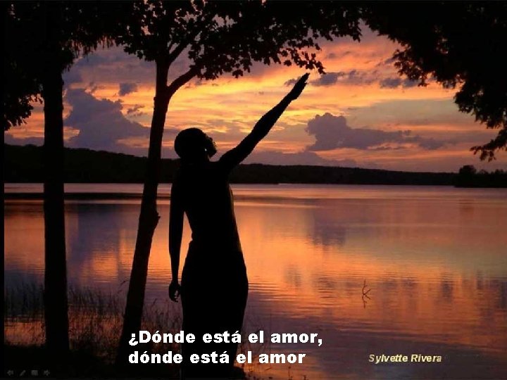 ¿Dónde está el amor, dónde está el amor ¿Dónde está el amor, dónde está el amor