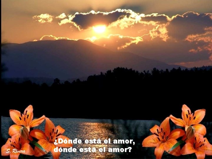 ¿Dónde está el amor, dónde está el amor? ¿Dónde está el amor, dónde está el amor?