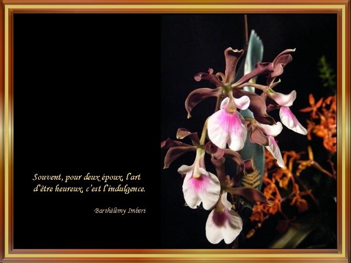 Souvent, pour deux époux, l’art d’être heureux, c’est l’indulgence. Barthélémy Imbert Souvent, pour deux époux, l’art d’être heureux, c’est l’indulgence. Barthélémy Imbert
