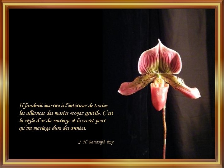 Il faudrait inscrire à l’intérieur de toutes les alliances des mariés «soyez gentil» . Il faudrait inscrire à l’intérieur de toutes les alliances des mariés «soyez gentil» .