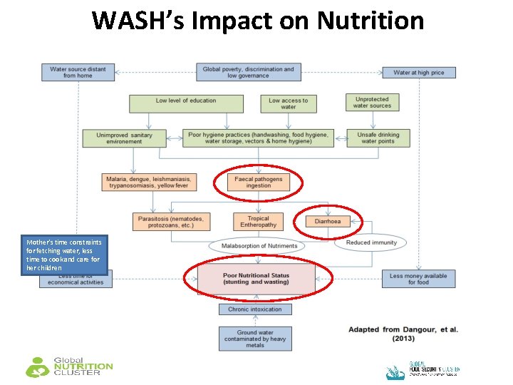 WASH’s Impact on Nutrition Mother’s time constraints for fetching water, less time to cook