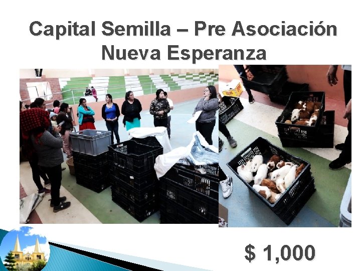 Capital Semilla – Pre Asociación Nueva Esperanza $ 1, 000 