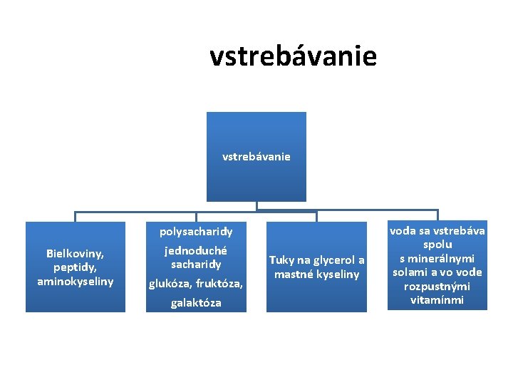 vstrebávanie Bielkoviny, peptidy, aminokyseliny polysacharidy jednoduché sacharidy glukóza, fruktóza, galaktóza Tuky na glycerol a