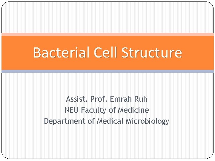 Bacterial Cell Structure Assist. Prof. Emrah Ruh NEU Faculty of Medicine Department of Medical