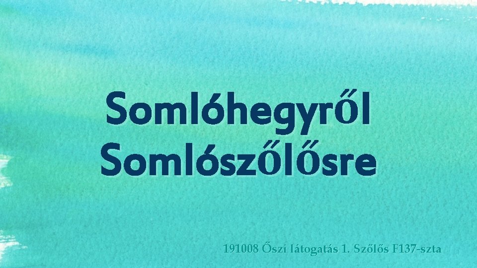 Somlóhegyről Somlószőlősre 191008 Őszi látogatás 1. Szőlős F 137 -szta 