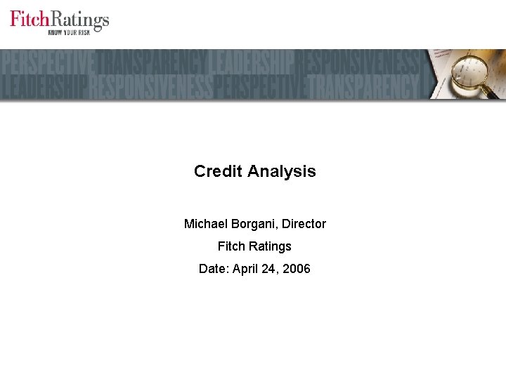 Credit Analysis Michael Borgani, Director Fitch Ratings Date: April 24, 2006 