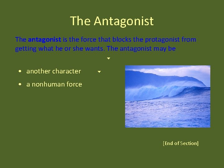 The Antagonist The antagonist is the force that blocks the protagonist from getting what