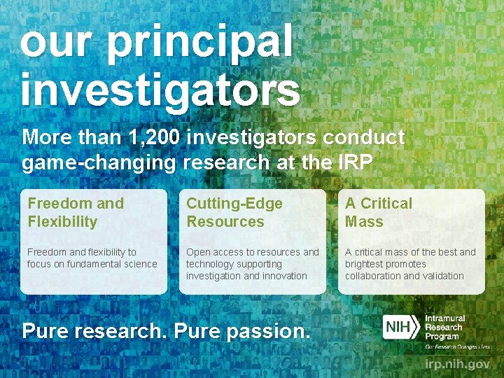 our principal investigators More than 1, 200 investigators conduct game-changing research at the IRP