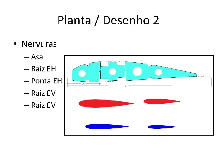 Planta / Desenho 2 • Nervuras – Asa – Raiz EH – Ponta EH