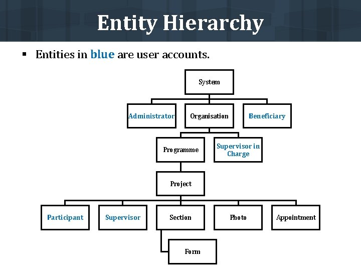 Entity Hierarchy § Entities in blue are user accounts. System Administrator Organisation Programme Beneficiary