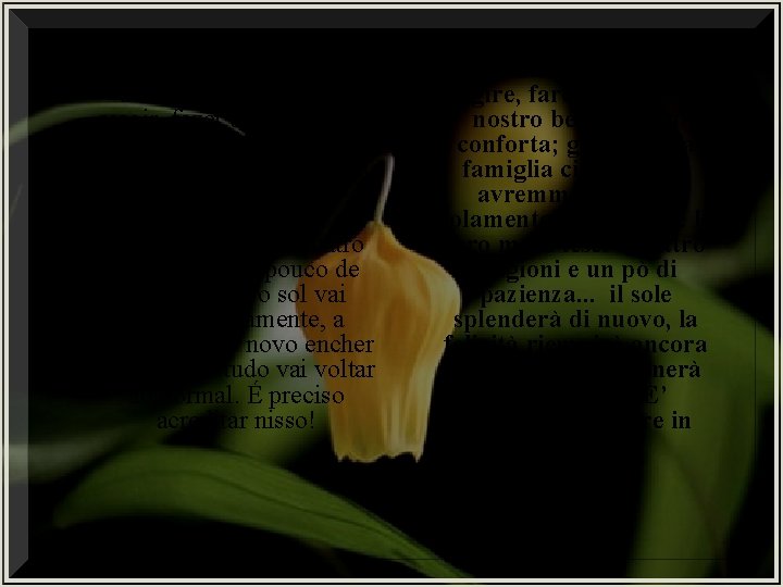 Por esses, pelo menos, devemos nos reerguer, reagir, fazer um esforço. E para nós,